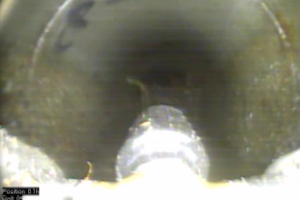 sewer-main-lateral-connection-after-root-removal.png