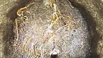 Picture4-e1645026638330