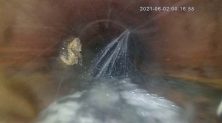 Water Infiltration
